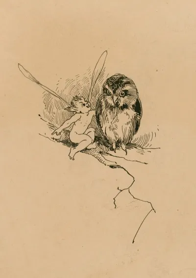 Illustration From A Midsummer Nights Dream 19