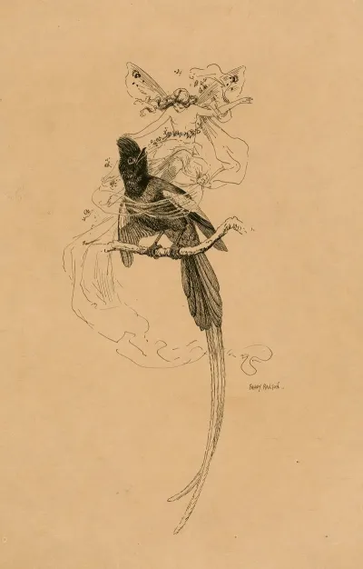Illustration From A Midsummer Nights Dream