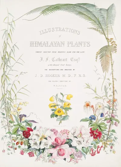 Illustrations Of Himalayan Plants Title Page