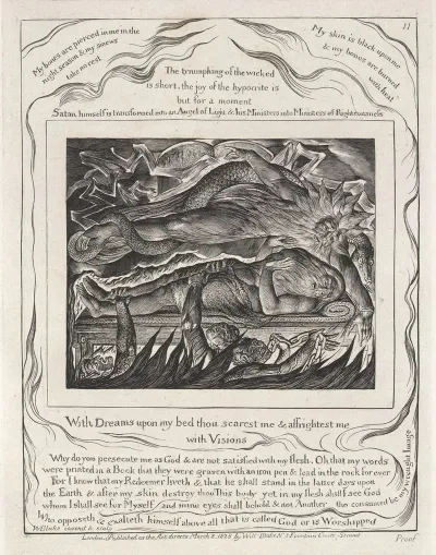 Illustrations Of The Book Of Job Pl 12