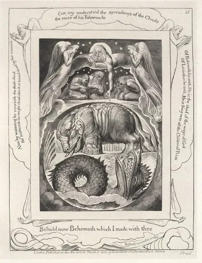 Illustrations Of The Book Of Job Pl 16