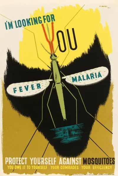 Im Looking For You Fever Malaria