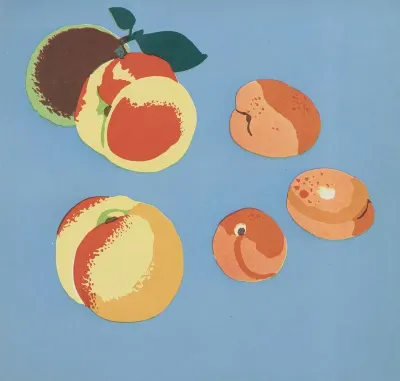Images A Colorier Des Fruits Pl 09