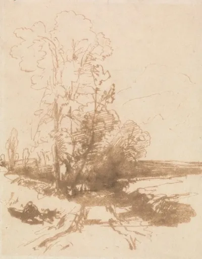 In Country Lane