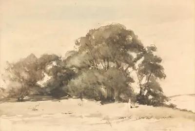 In De Duinen Bij Wassenaar