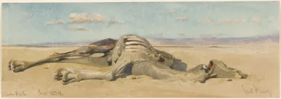 In Der Wuste In The Desert