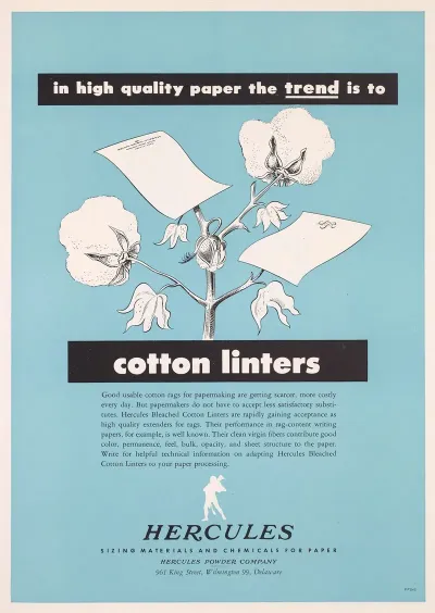 In High Quality Paper The Trend Is To Cotton Linters