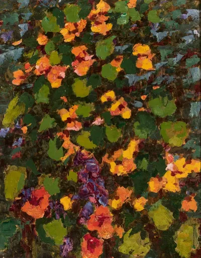 In My Garden Nasturtiums In The Sunshine