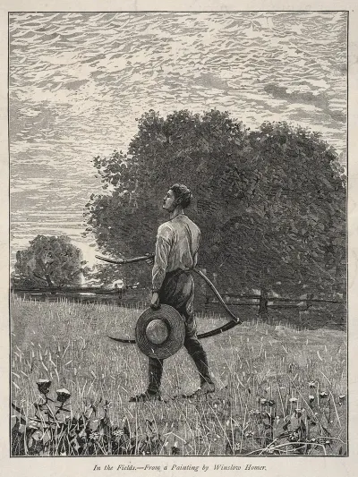 In The Fields 4