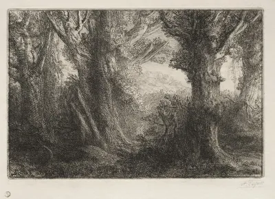 In The Forest At Conteville