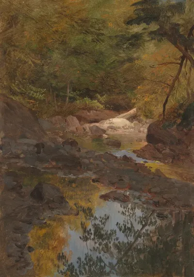 In The New England Woods