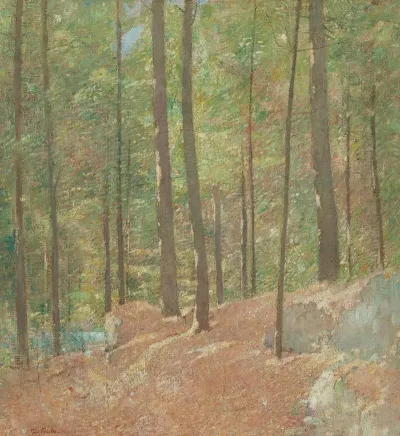 In The Pine Woods