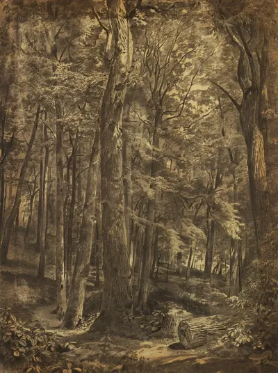 In The Woods 3
