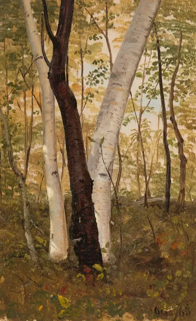 In The Woods Hudson New York