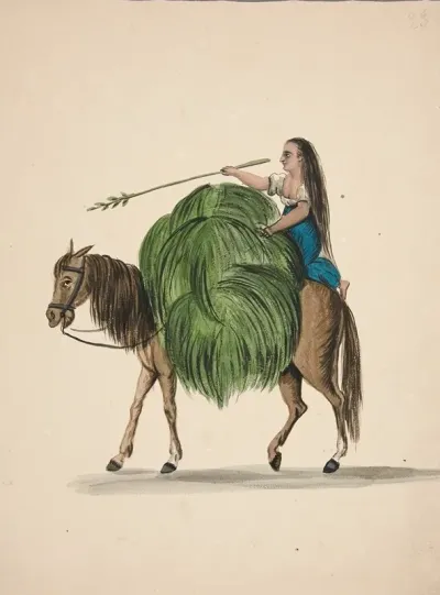 Indian Girl Returning From The Fields