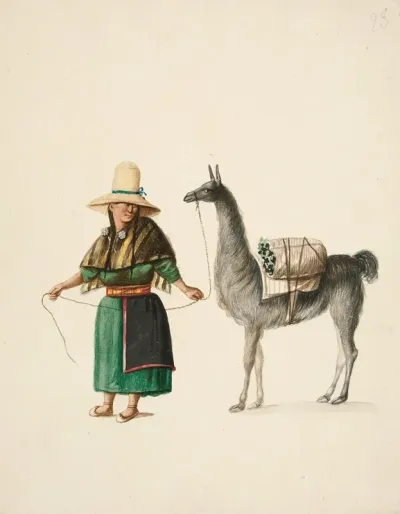 Indian Woman And Llama