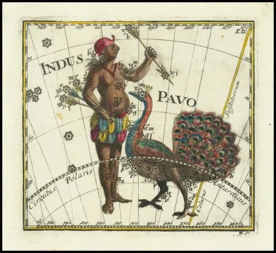 Indus Pavo
