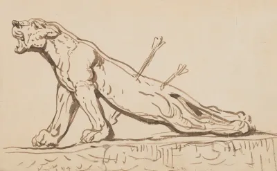 Injured Lioness