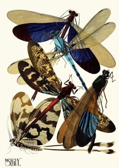 Insectes Pl 02