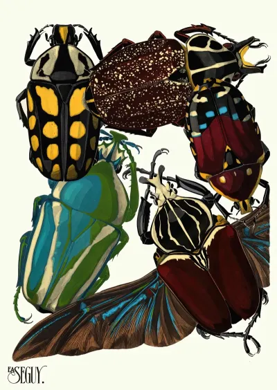 Insectes Pl 03