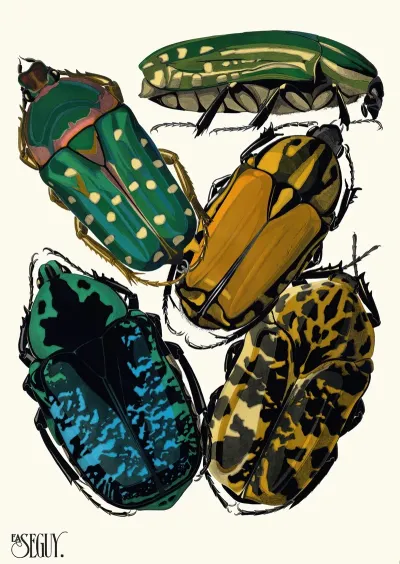 Insectes Pl 04