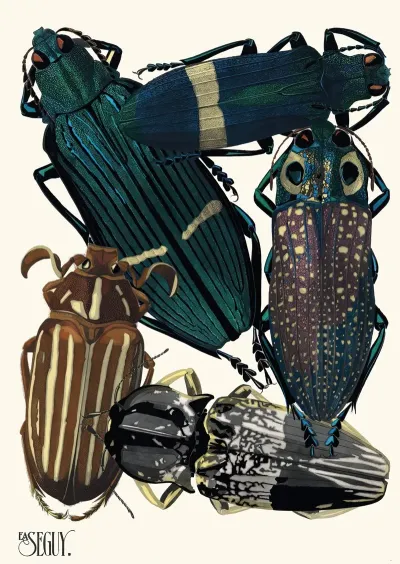 Insectes Pl 05