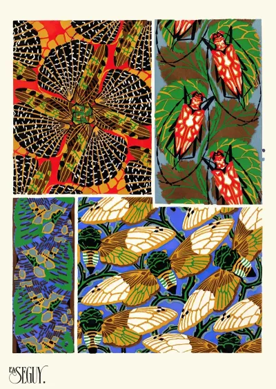 Insectes Pl 11
