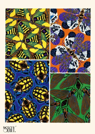 Insectes Pl 13
