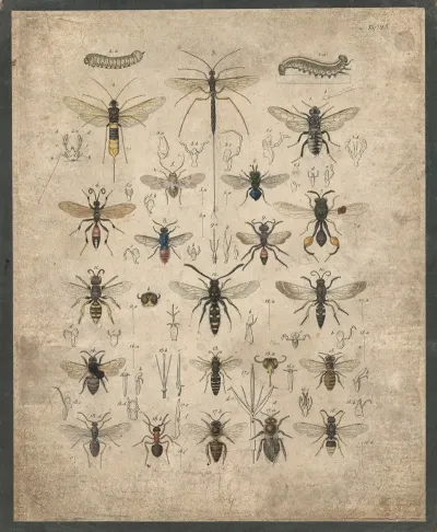 Insects 10