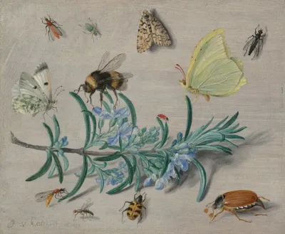 Insects And A Sprig Of Rosemary