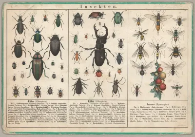 Insekten 3