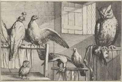 Inside A Brickwalled Room With An Open Window Several Captive Birds Rest On Wooden Perches