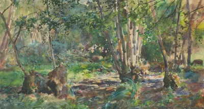 Inside A Forest With Roe Deer