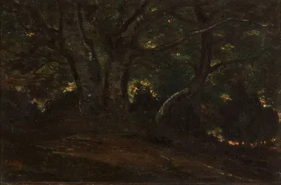 Interieur De La Foret De Fontainebleau