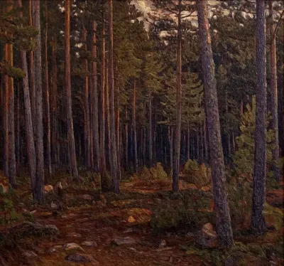 Interior Of A Coniferous Forest