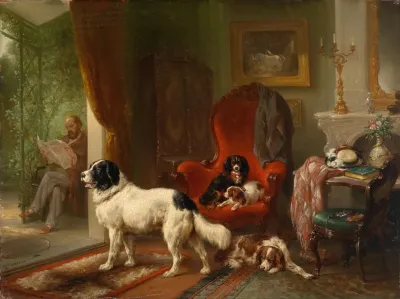 Interior With Dogs