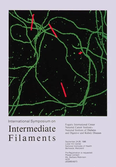 International Symposium On Intermediate Filaments