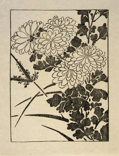 Ipswich Prints Chrysanthemum