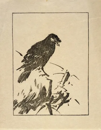 Ipswich Prints Raven