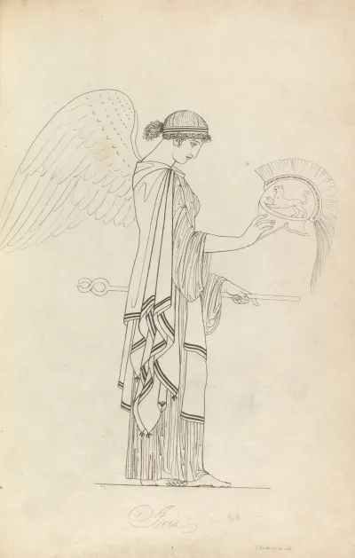 Iris 20