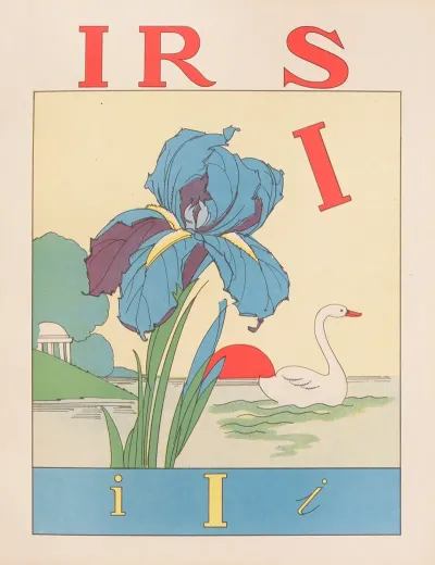 Iris 39
