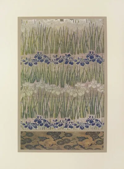 Iris Bleus Et Blancs Oiseaux Dans Les Pres
