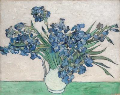 Irises 4
