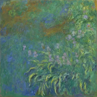 Irises 5