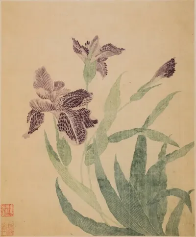 Irises 6