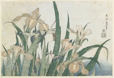 Irises And Grasshopper