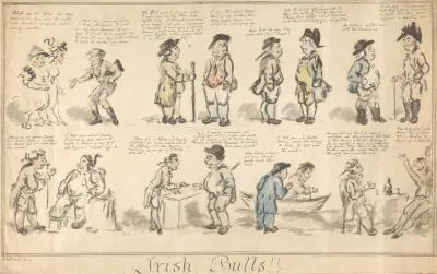 Irish Bulls