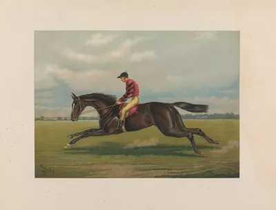Iroquois