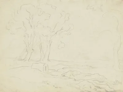 Italienische Landschaft Mit Olbaumen
