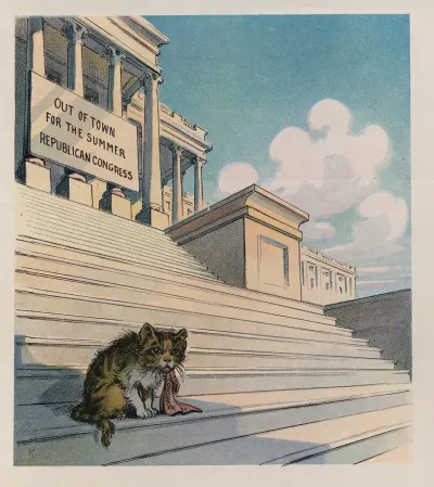 Its A Shame The Way They Treat That Cat